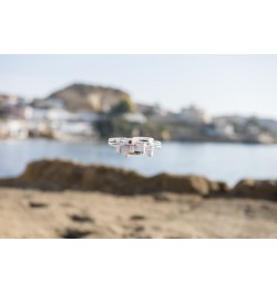 Dron Roxman