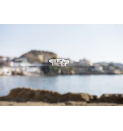 Dron Roxman