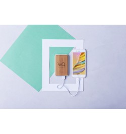 Power Bank Harleim