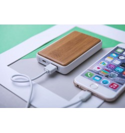 Power Bank Harleim