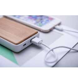 Power Bank Harleim