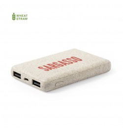 Power Bank Shiden
