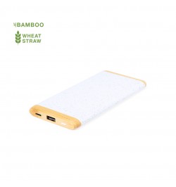 Power Bank Coquin