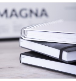 Agenda Waltrex