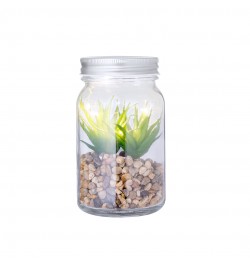 Planta Decorativa Kyala