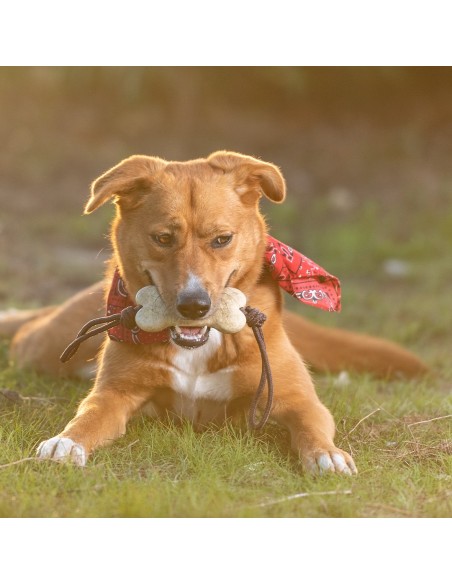 Mordedor Mascotas Salmer