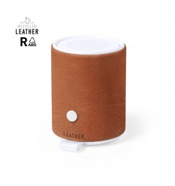 Altavoz Sotep RCS
