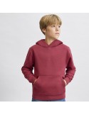 Sudadera Niño Draco
