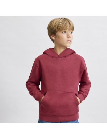 Sudadera Niño Draco