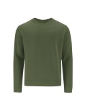 Sudadera Adulto Cosmos Verde botella Xxxl