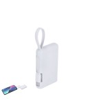 Power Bank Brandin
